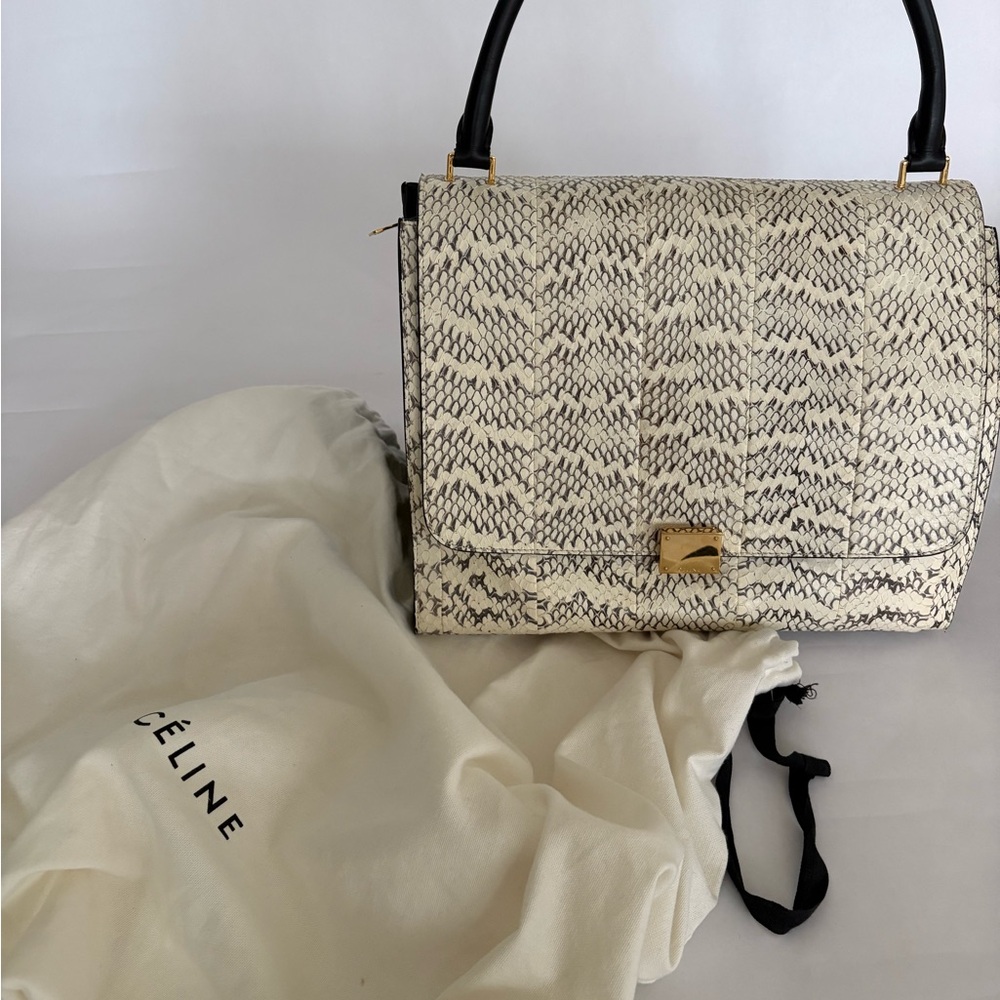 Céline Vintage Python Leather Structured Top Hand… - image 6